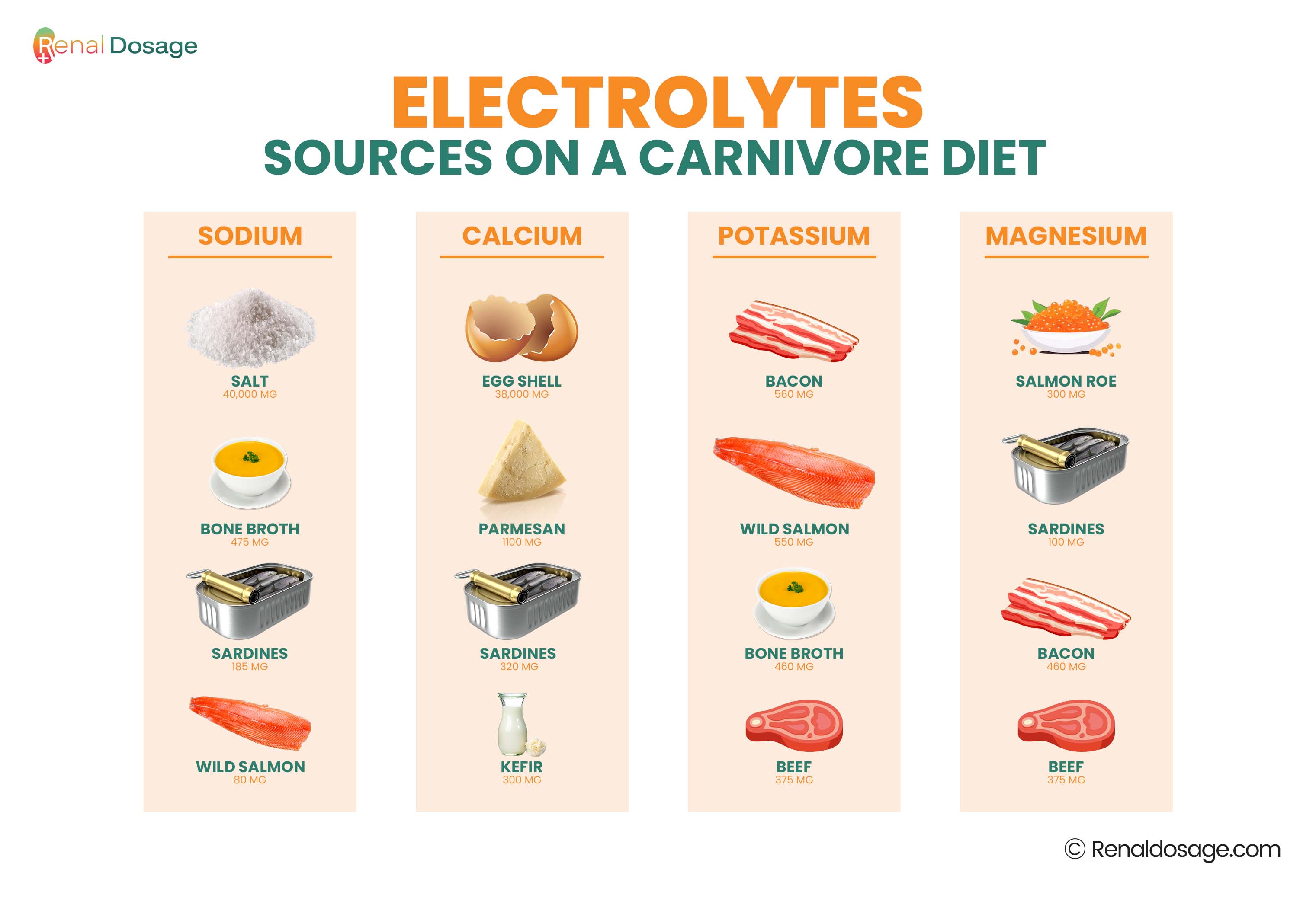 ELECTROLYTES SOURCES ON A CARNIVORE DIET